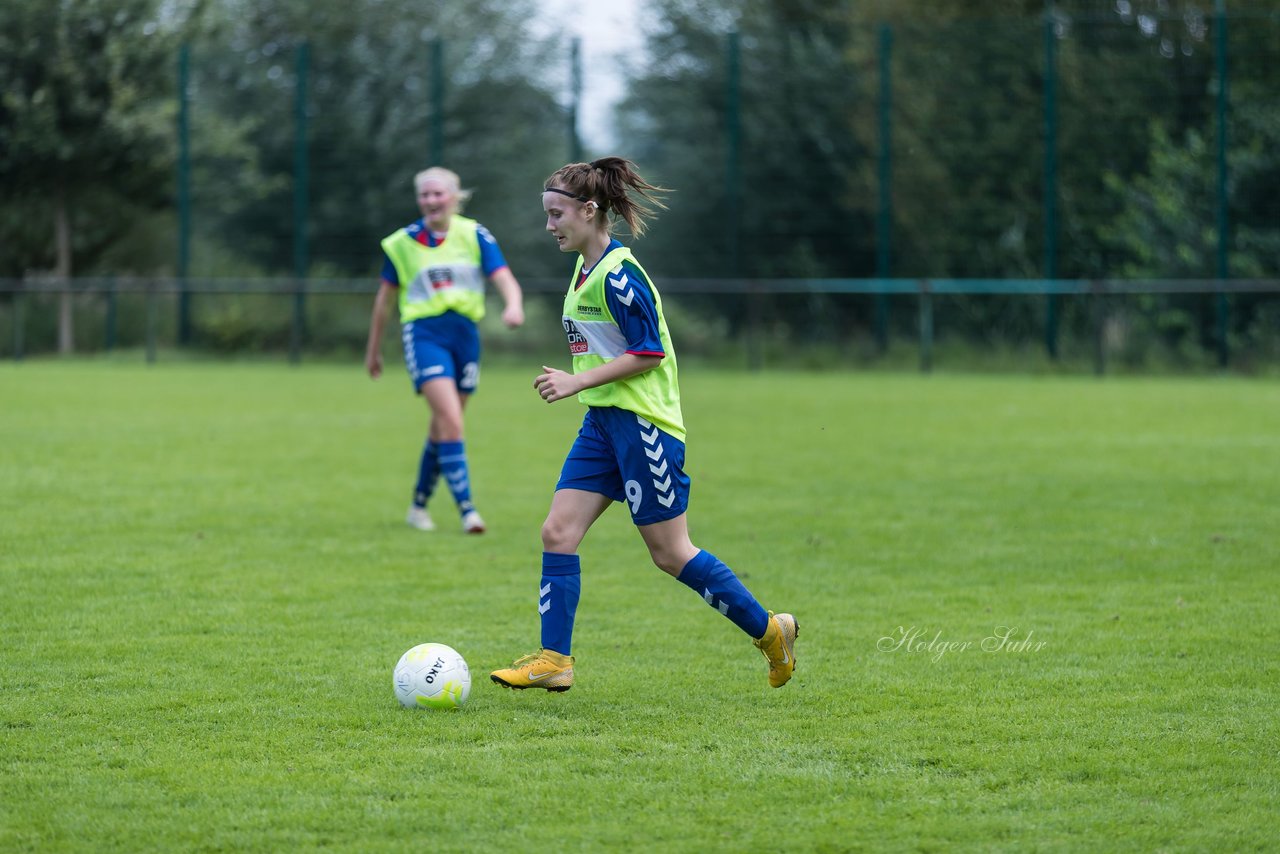 Bild 321 - B-Juniorinnen VfL Pinneberg - HSV : Ergebnis: 1:4